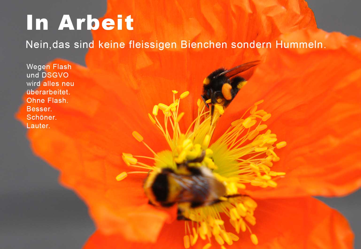 Baustelle Hummel